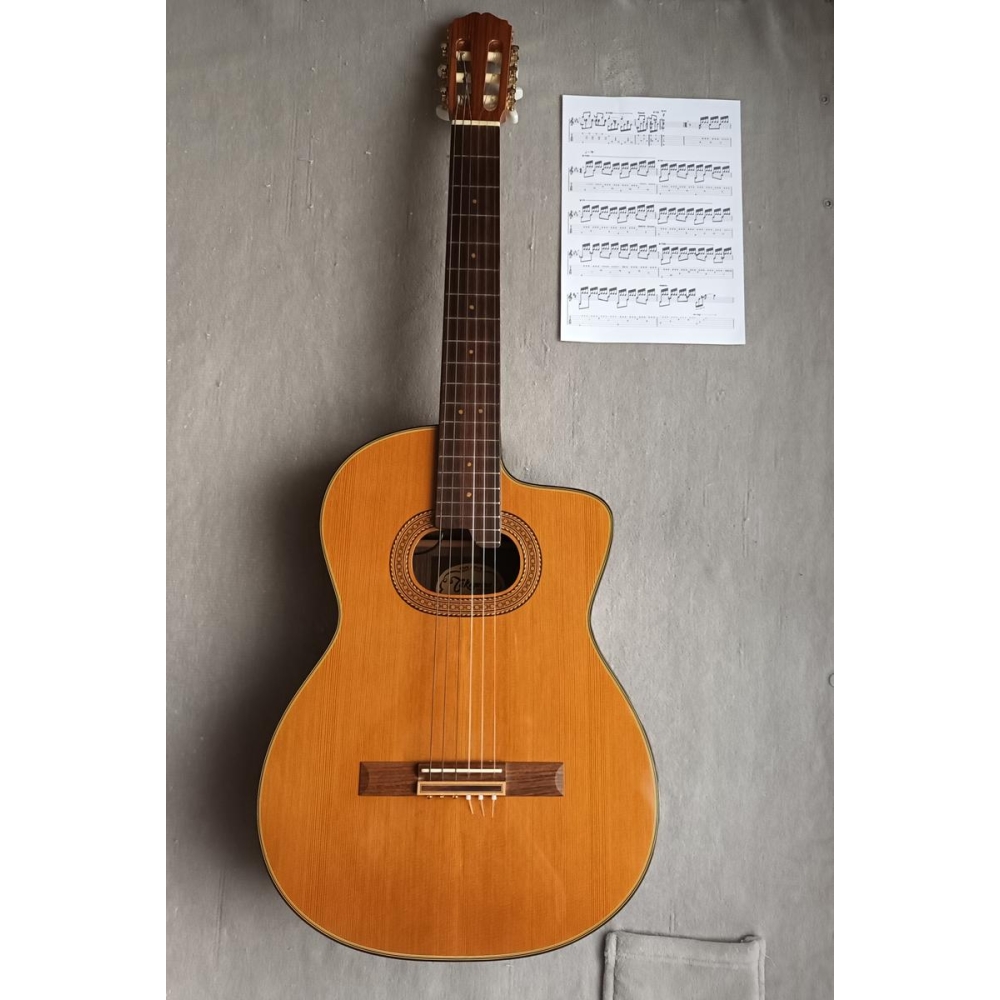 Takamine E50