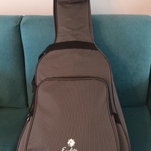 Takamine E50