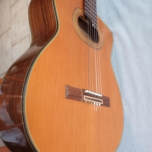 Takamine E50