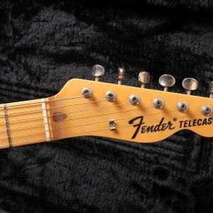 Fender Telecaster 1993 - Pink Paisley