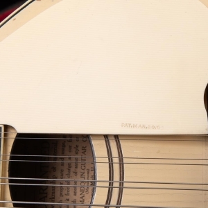 Gibson Mandoline A3 1919 - Ivory