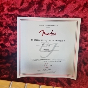 Fender Eric Johnson Signature '54 "Virginia" Stratocaster