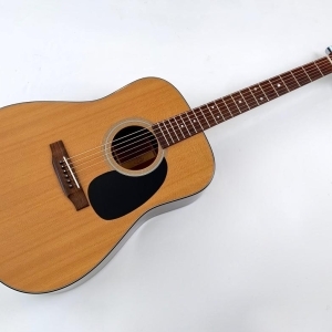 Martin Standard Series D-18