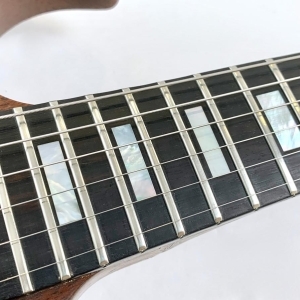 Gibson SG Standard with Ebony Fretboard