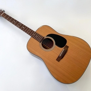 Martin Standard Series D-18