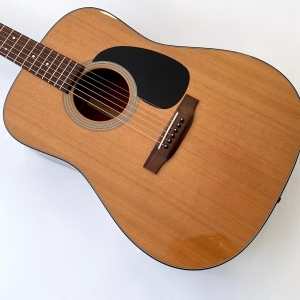 Martin Standard Series D-18