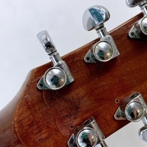 Gibson SG Standard with Ebony Fretboard