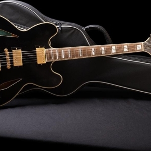 Epiphone Sheraton Emily Wolfe Signature