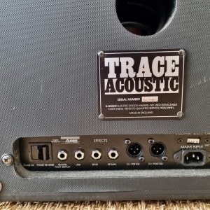 Trace Acoustic TA 300