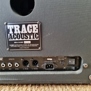 Trace Acoustic TA 300