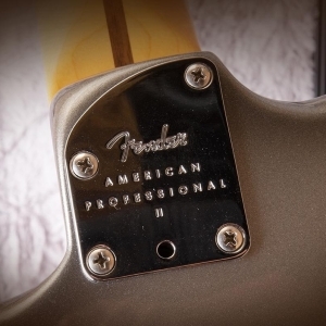 Fender Stratocaster American Pro II