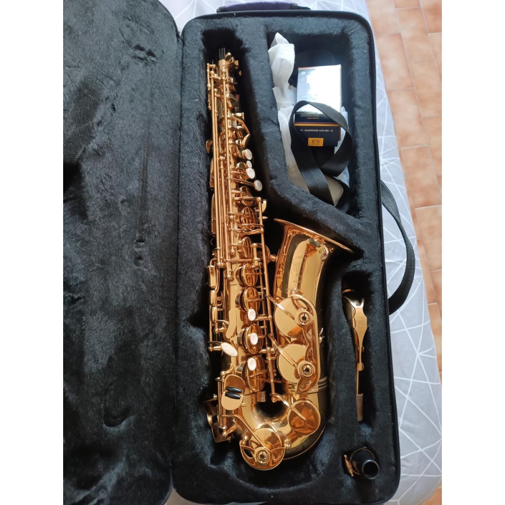 Saxophone Alto SML