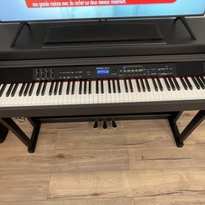 Delson 8862 RSW Piano