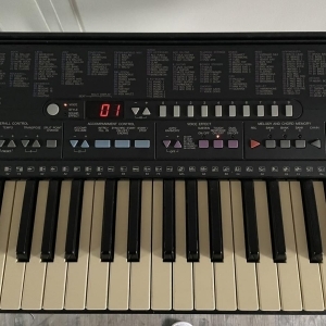 Yamaha PSR-310