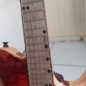 Guitare luthier Gods Fever