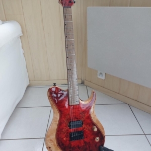 Guitare luthier Gods Fever