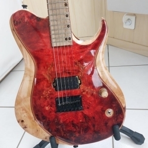 Guitare luthier Gods Fever