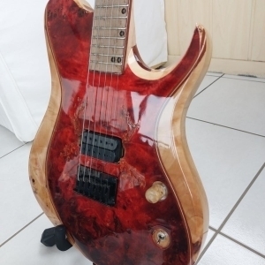 Guitare luthier Gods Fever