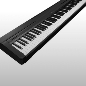 Yamaha P-45