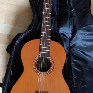 Guitare Almansa 403