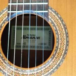 Guitare Almansa 403