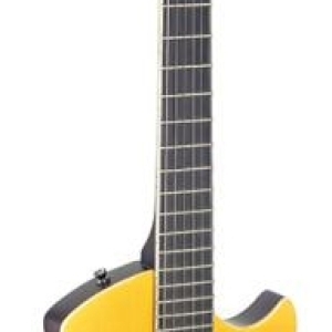 Guitare électrique, série Silveray, modèle Nash Deluxe, avec corps en aulne massif