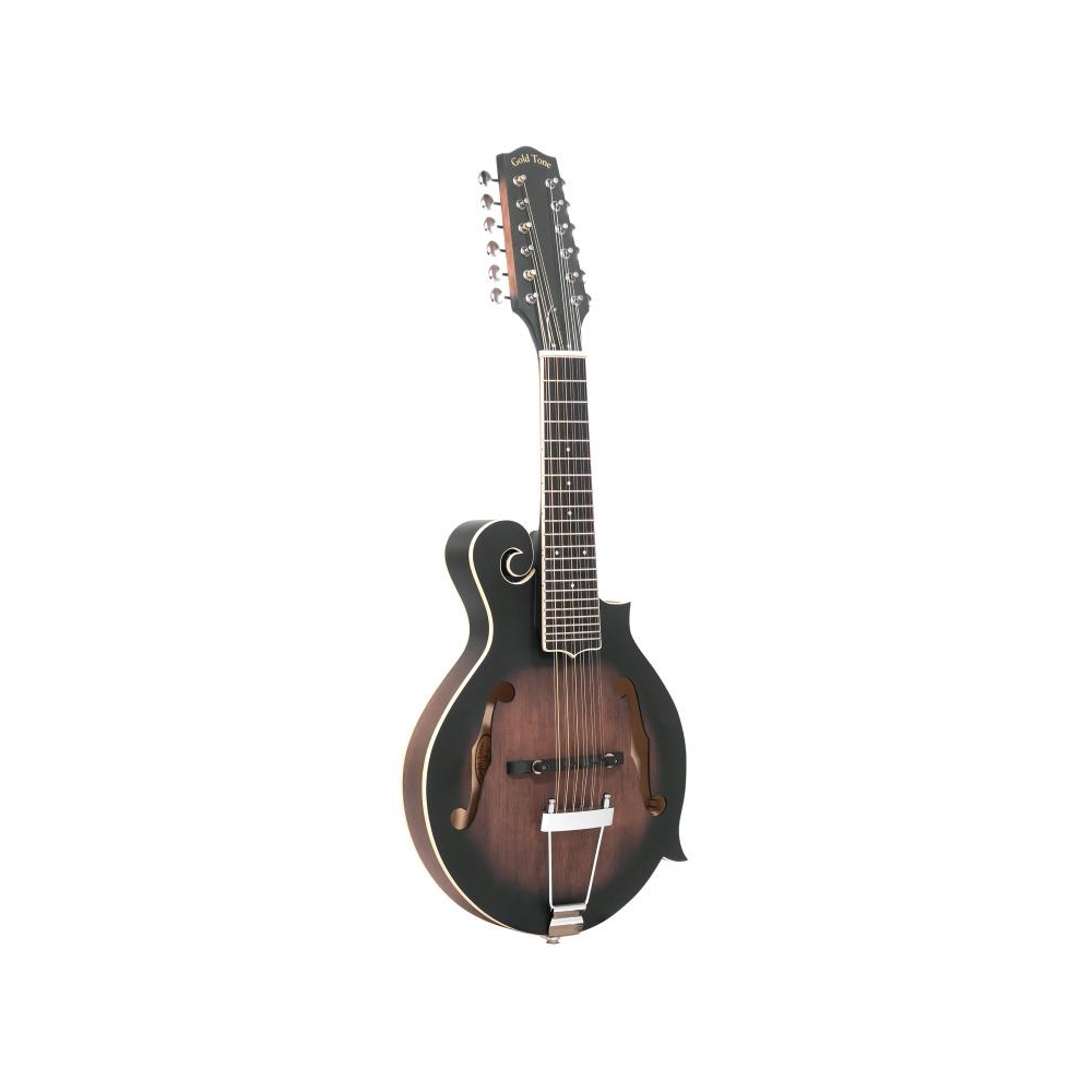 Guitare mandoline à 12 cordes avec corps de mandoline de type F, micro et étui