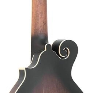 Guitare mandoline à 12 cordes avec corps de mandoline de type F, micro et étui