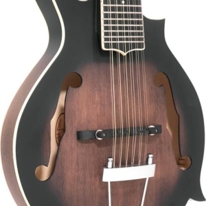 Guitare mandoline à 12 cordes avec corps de mandoline de type F, micro et étui