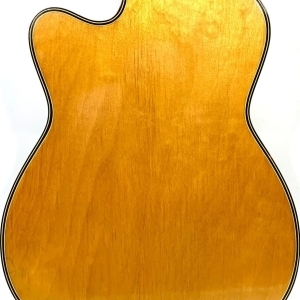 Roger Custom Thinline Natural 1958 / 1960