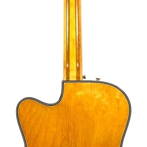 Roger Custom Thinline Natural 1958 / 1960