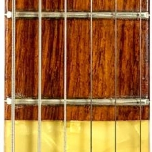 Roger Custom Thinline Natural 1958 / 1960