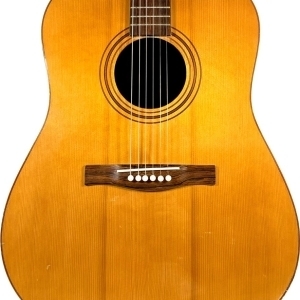 Giannini Dreadnought AWS-570 1970's