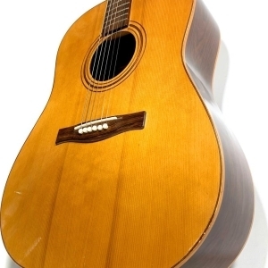 Giannini Dreadnought AWS-570 1970's