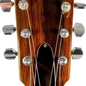 Giannini Dreadnought AWS-570 1970's