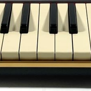 Melodica Suzuki PRO-37V2