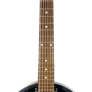 Banjo Guitare Tennessee 6 Cordes 2010's