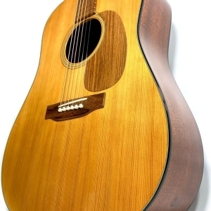 Martin D-18 D de 1975