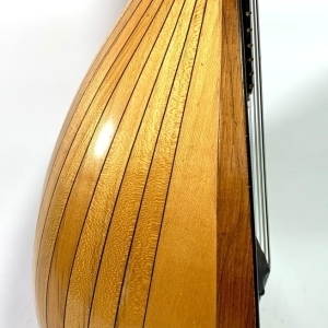 Mandoline Luigi Embergher Orchestra 1 de 1906