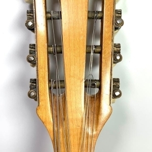 Mandoline Luigi Embergher Orchestra 1 de 1906