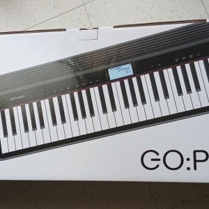 Roland GO-61P