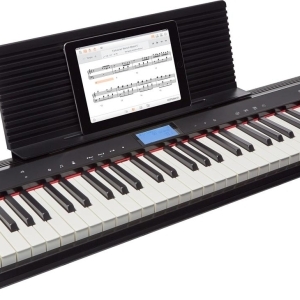 Roland GO-61P