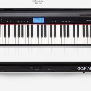 Roland GO-61P