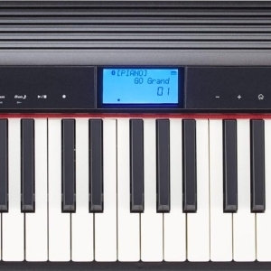 Roland GO-61P