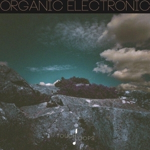 Organic Electronic