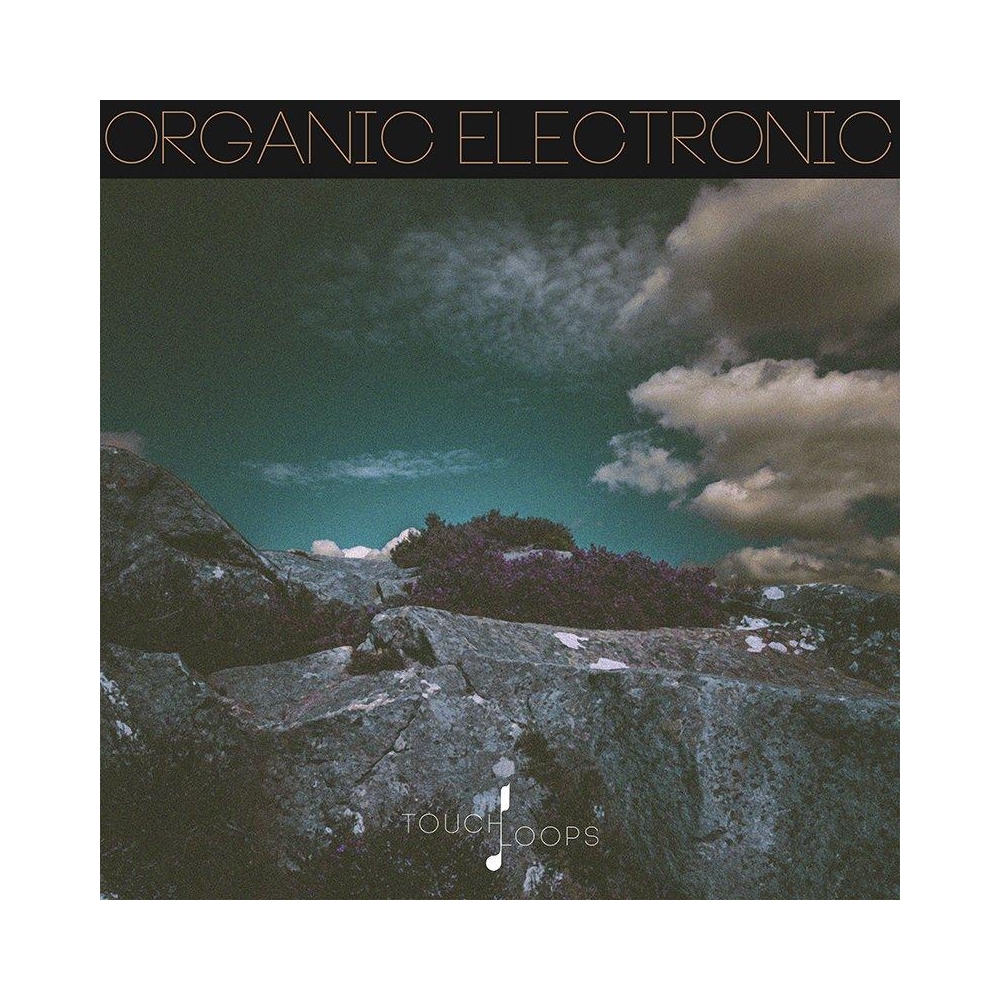 Organic Electronic