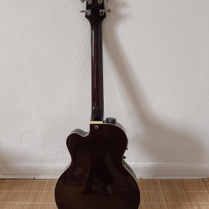 Vox VGA 3d archtop