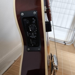 Vox VGA 3d archtop