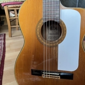 Takamine classique