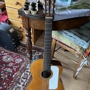 Takamine classique